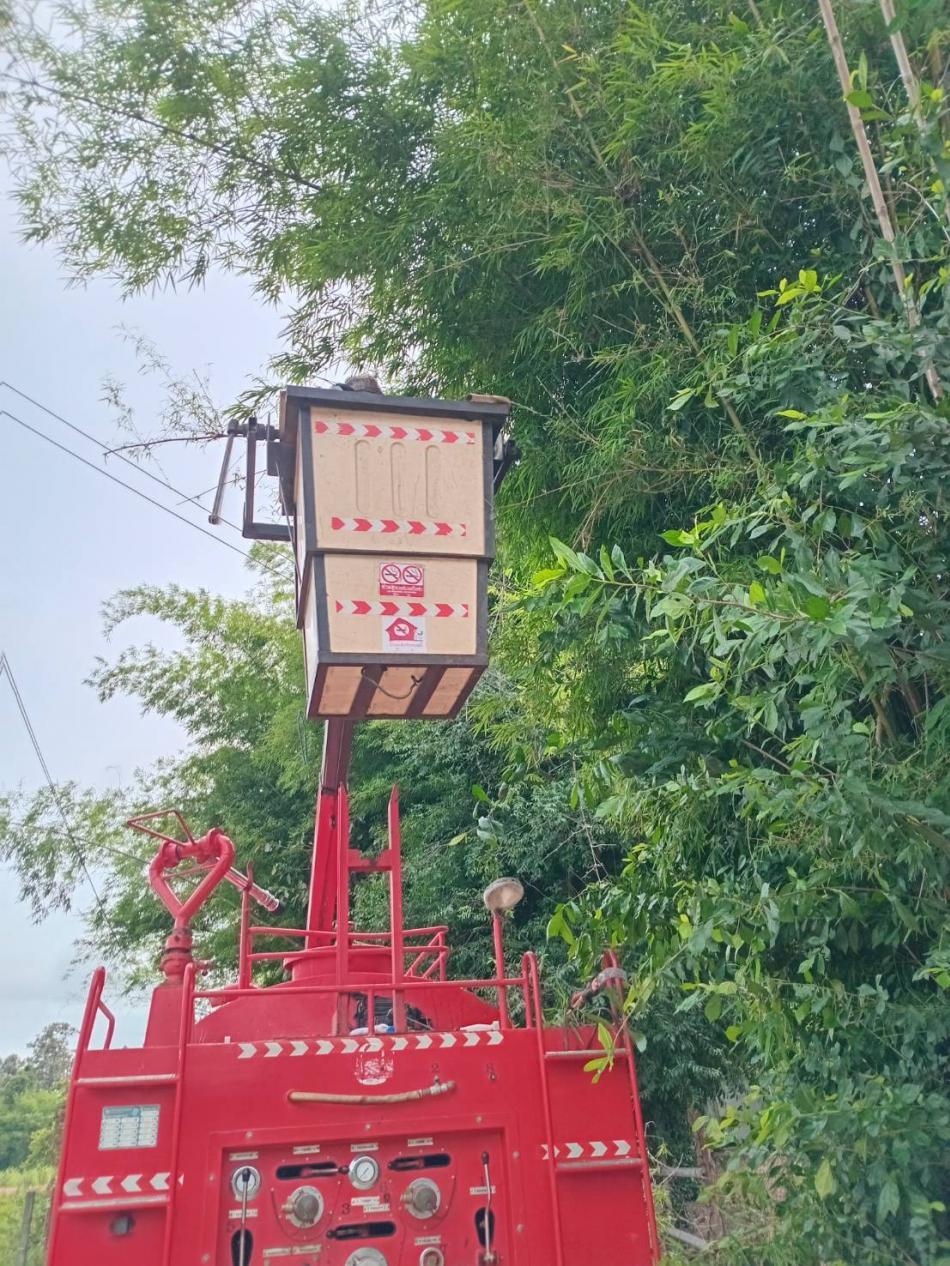 ดกิ่งไม้ขวางสายไฟ บ้านบาก หมู่ที่ 2 ตำบลสร้างนกทา อำเภอเมืองอำนาจเจริญ จังหวัดอำนาจเจริญ 